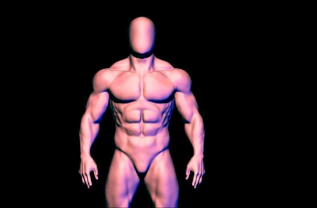 anatomy scultping  Free low-poly 3D model_10