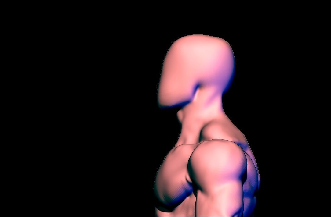 anatomy scultping  Free low-poly 3D model_14