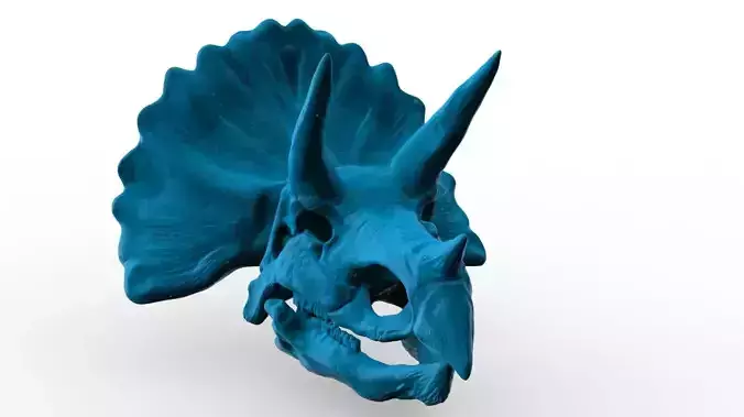Triceratops Skull - 3D model 3D print model
