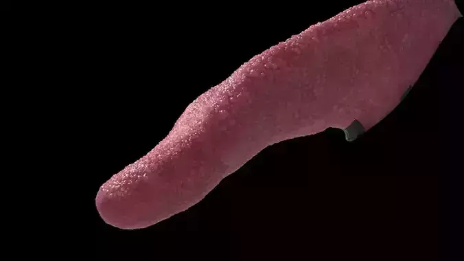 realistic tongue close up of