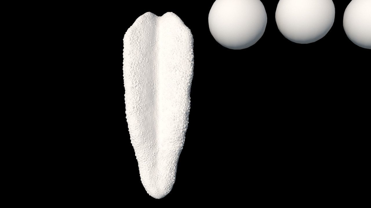 realistic tongue close up of 3D model_3