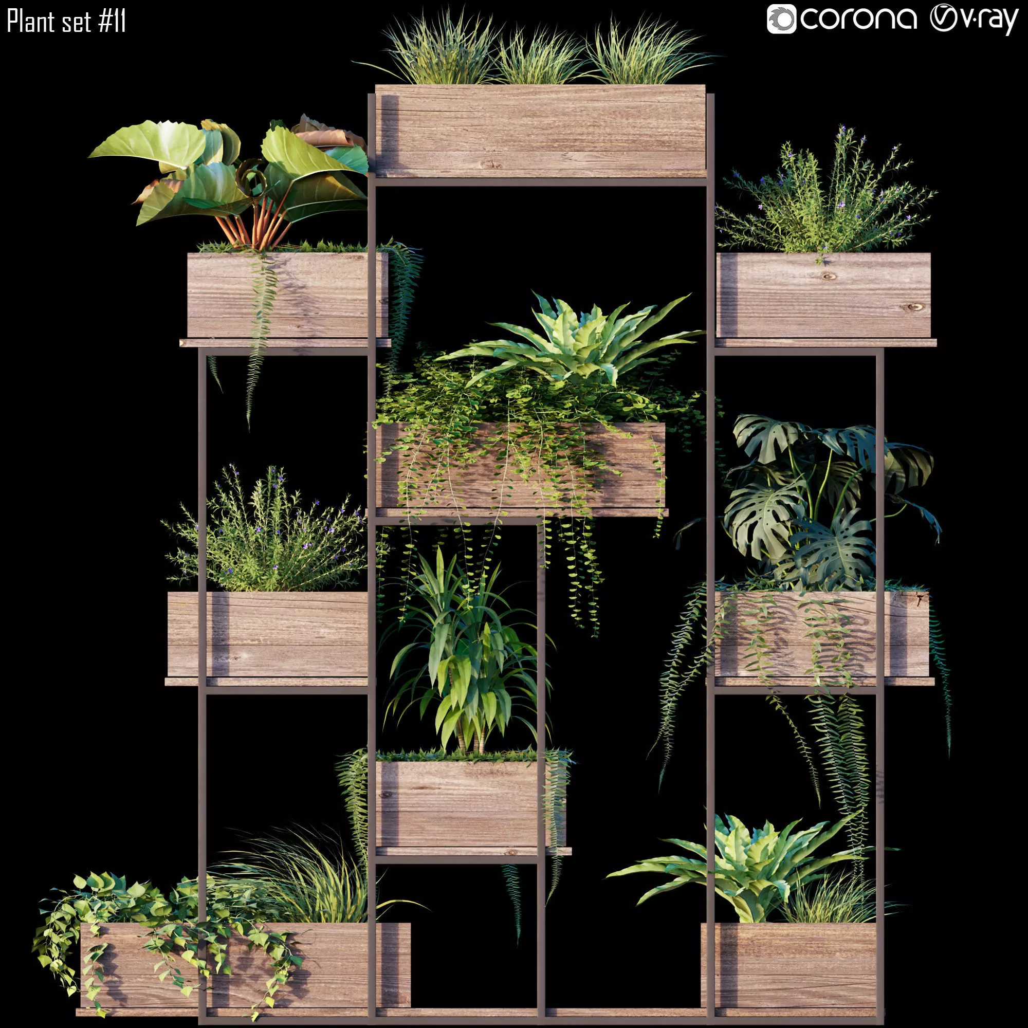 Plant set 11 3D model