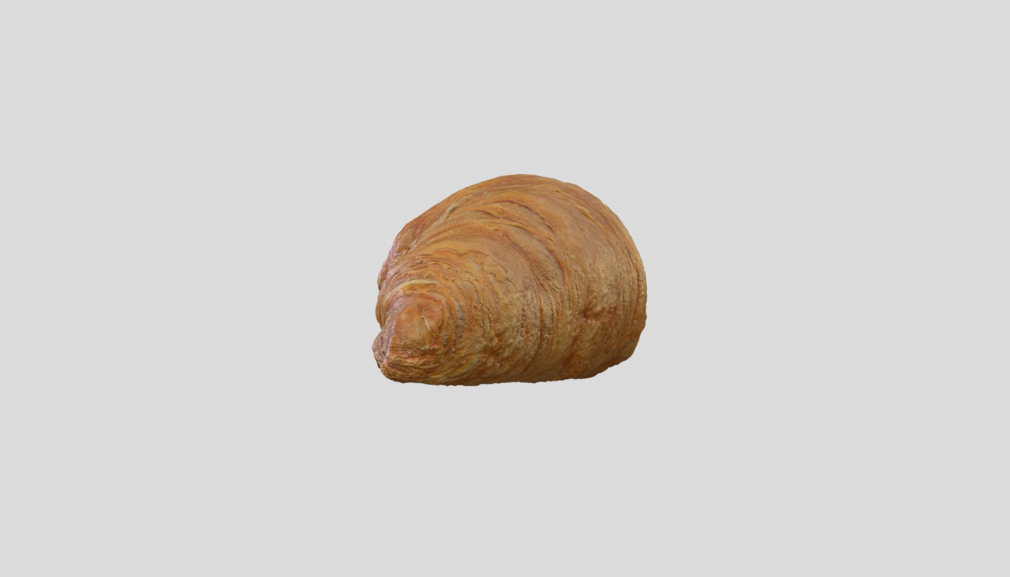 Croissant Bread 3D model Photoscan Low-poly 3D model_5