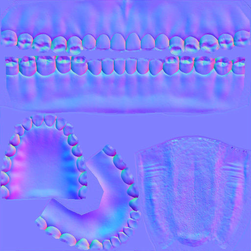 Game Realistic human Teeth - Mouth Set for character Low-poly 3D model_8