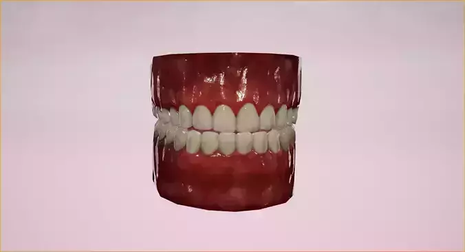 Game Realistic human Teeth - Mouth Set  for character