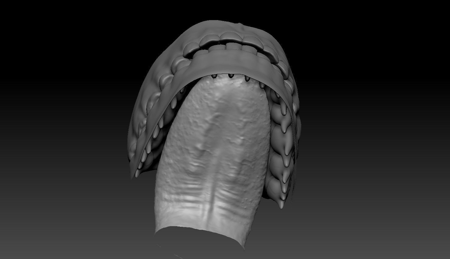 Game Realistic human Teeth - Mouth Set for character Low-poly 3D model_6