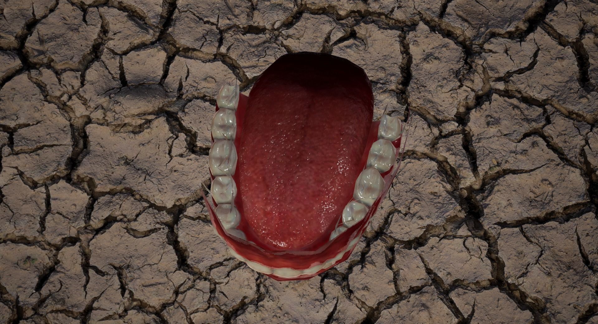 Game Realistic human Teeth - Mouth Set for character Low-poly 3D model_2