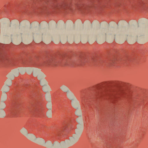 Game Realistic human Teeth - Mouth Set for character Low-poly 3D model_7