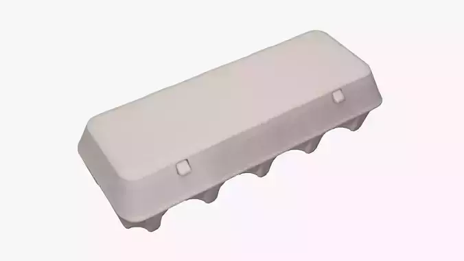 Egg paper mock-up cardboard package for 10 eggs 3D model
