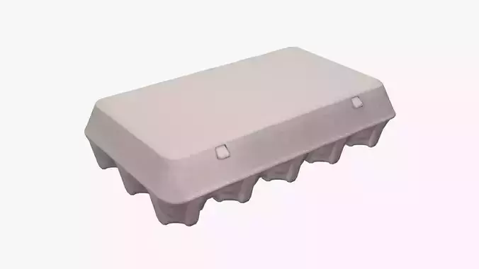 Egg paper mock-up cardboard package for 15 eggs 3D model