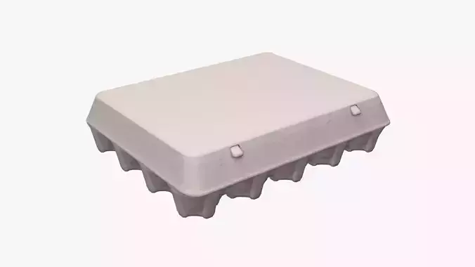 Egg paper mock-up cardboard package for 20 eggs 3D model