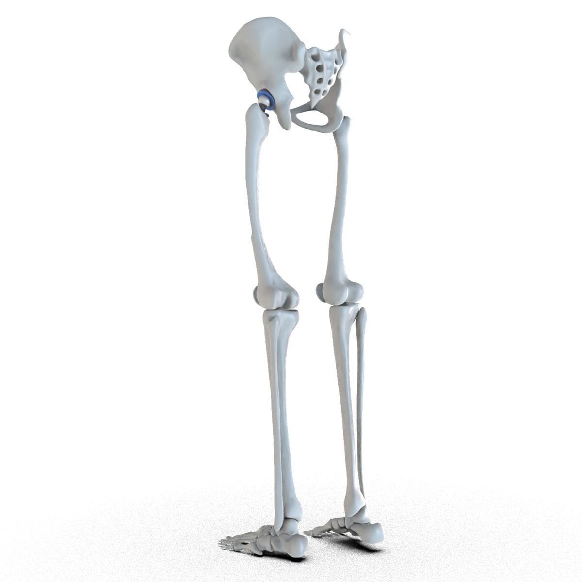 Hip replacement implant installed in the pelvis bone 3D model_14