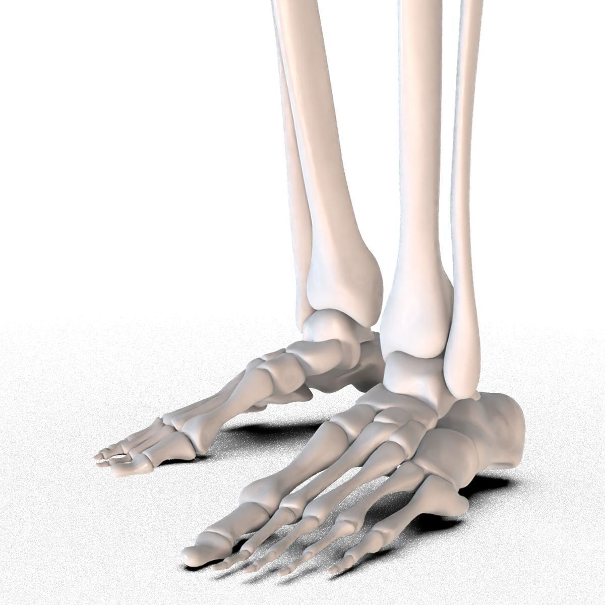 Hip replacement implant installed in the pelvis bone 3D model_7