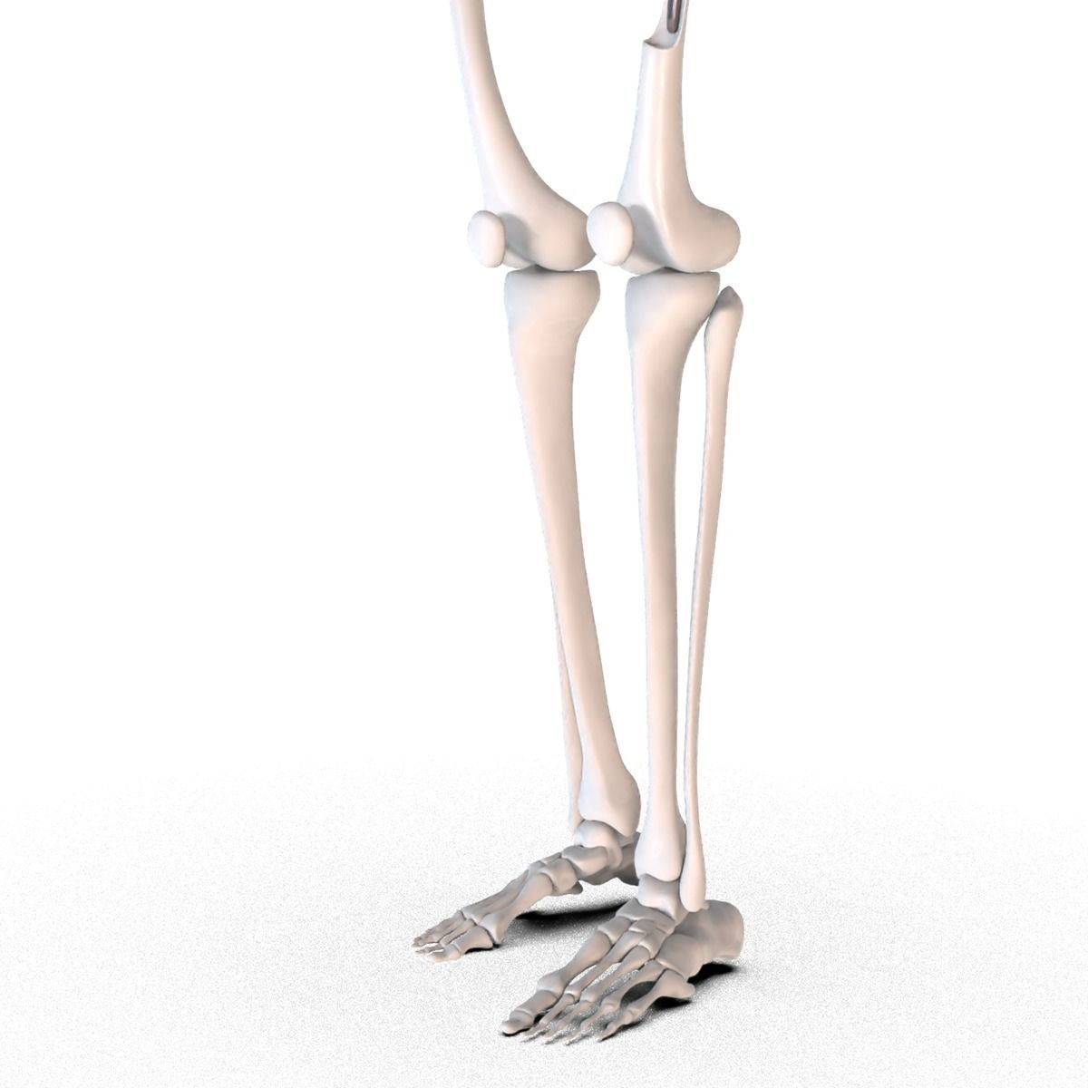 Hip replacement implant installed in the pelvis bone 3D model_8