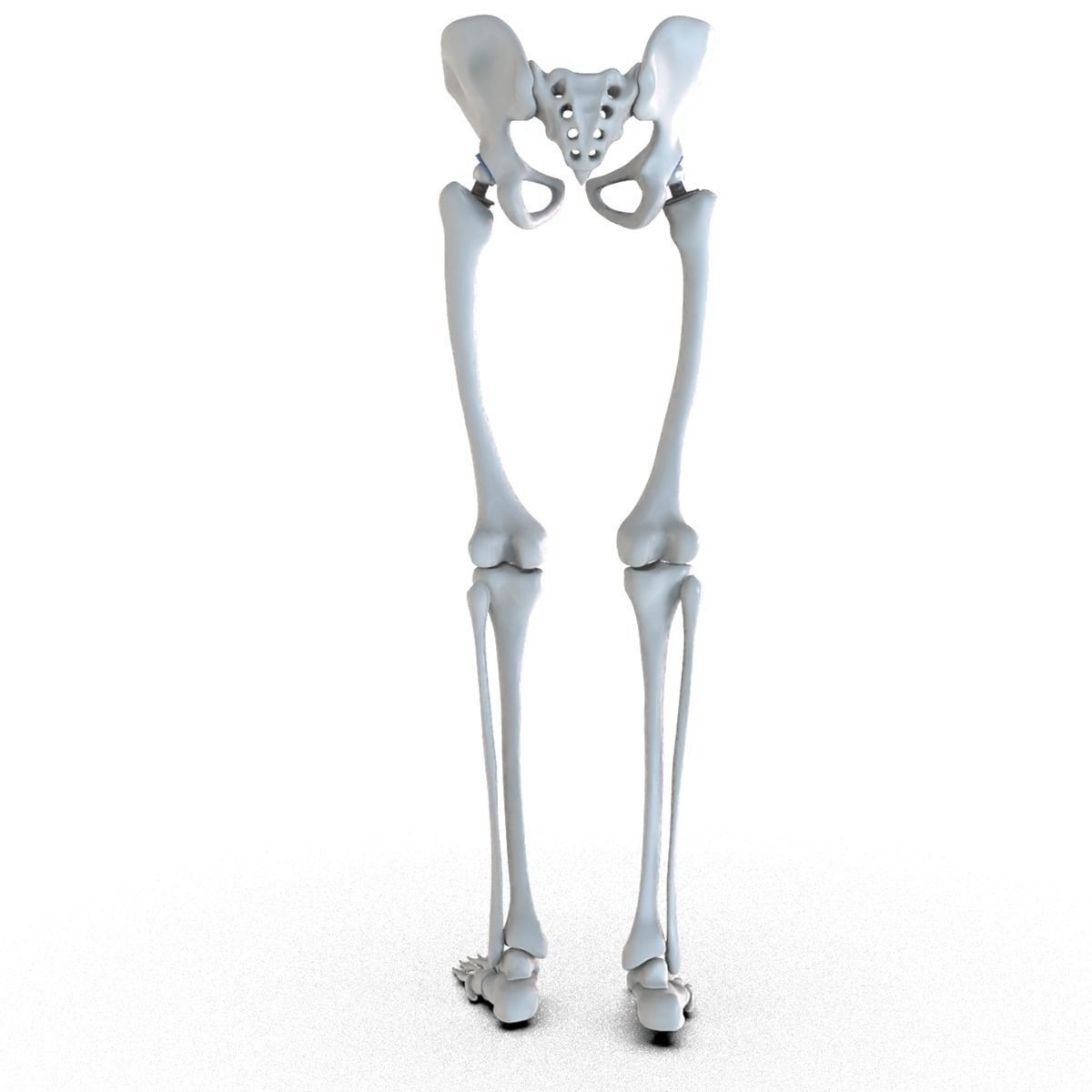 Hip replacement implant installed in the pelvis bone 3D model_10