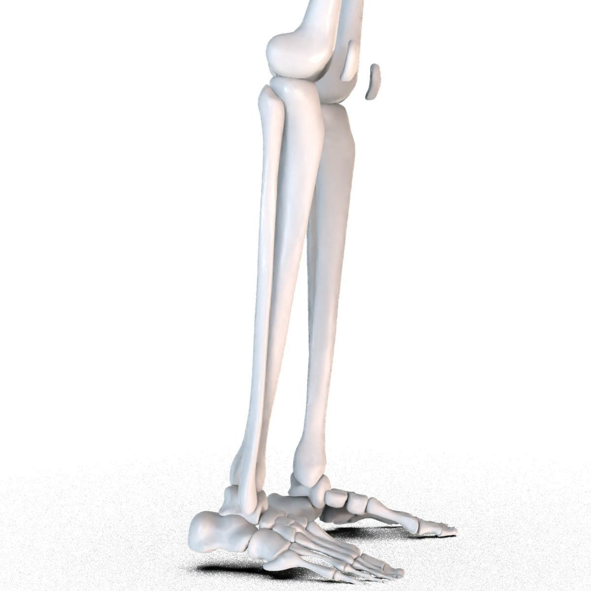 Hip replacement implant installed in the pelvis bone 3D model_17