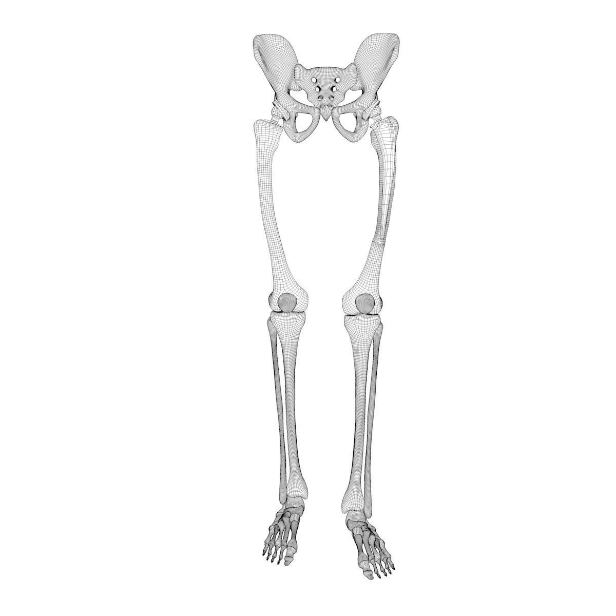 Hip replacement implant installed in the pelvis bone 3D model_22
