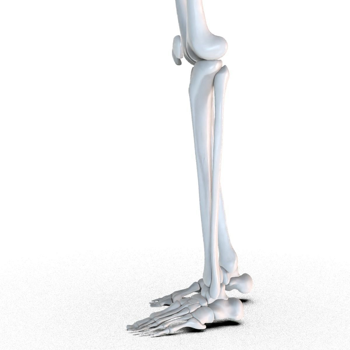 Hip replacement implant installed in the pelvis bone 3D model_19