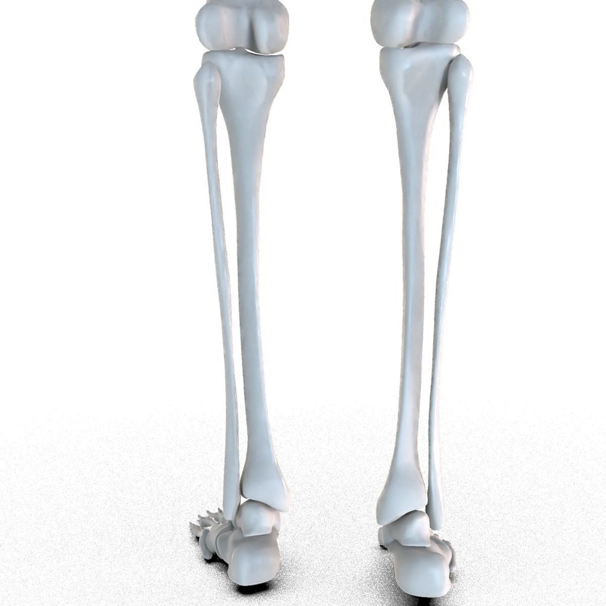 Hip replacement implant installed in the pelvis bone 3D model_11
