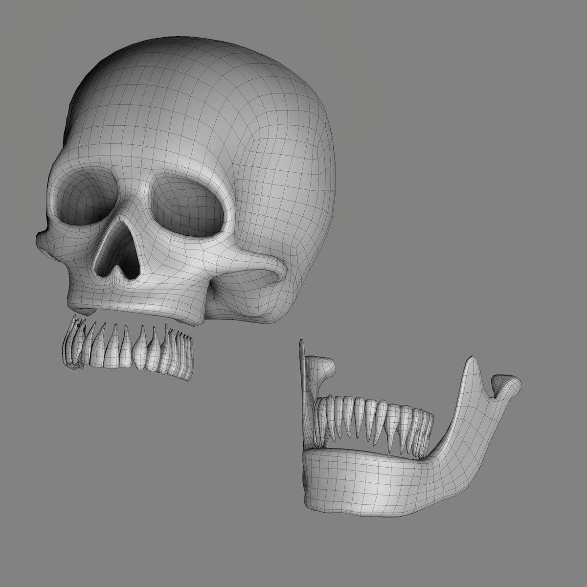Skull 3d - Human Skull Low-poly 3D model_16