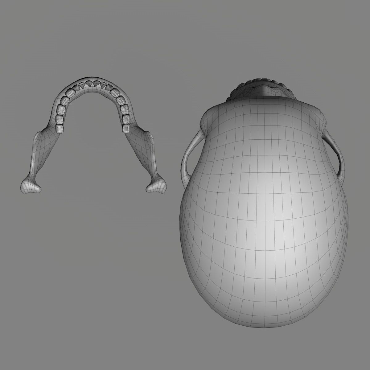 Skull 3d - Human Skull Low-poly 3D model_15