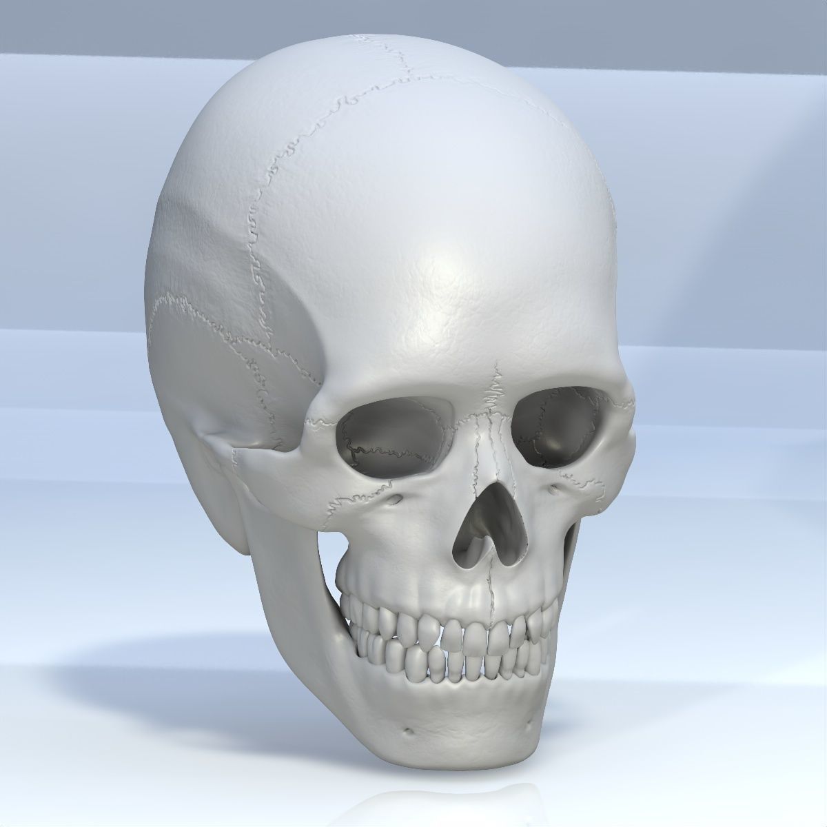 Skull 3d - Human Skull Low-poly 3D model_55