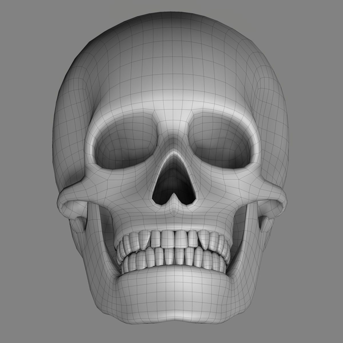 Skull 3d - Human Skull Low-poly 3D model_10