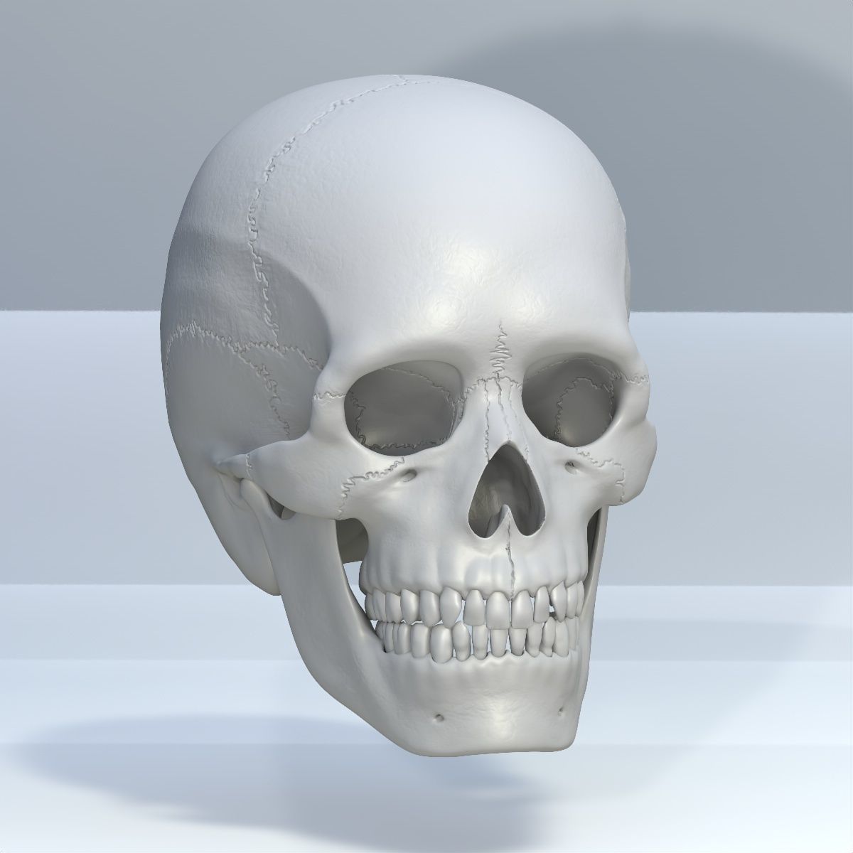 Skull 3d - Human Skull Low-poly 3D model_1