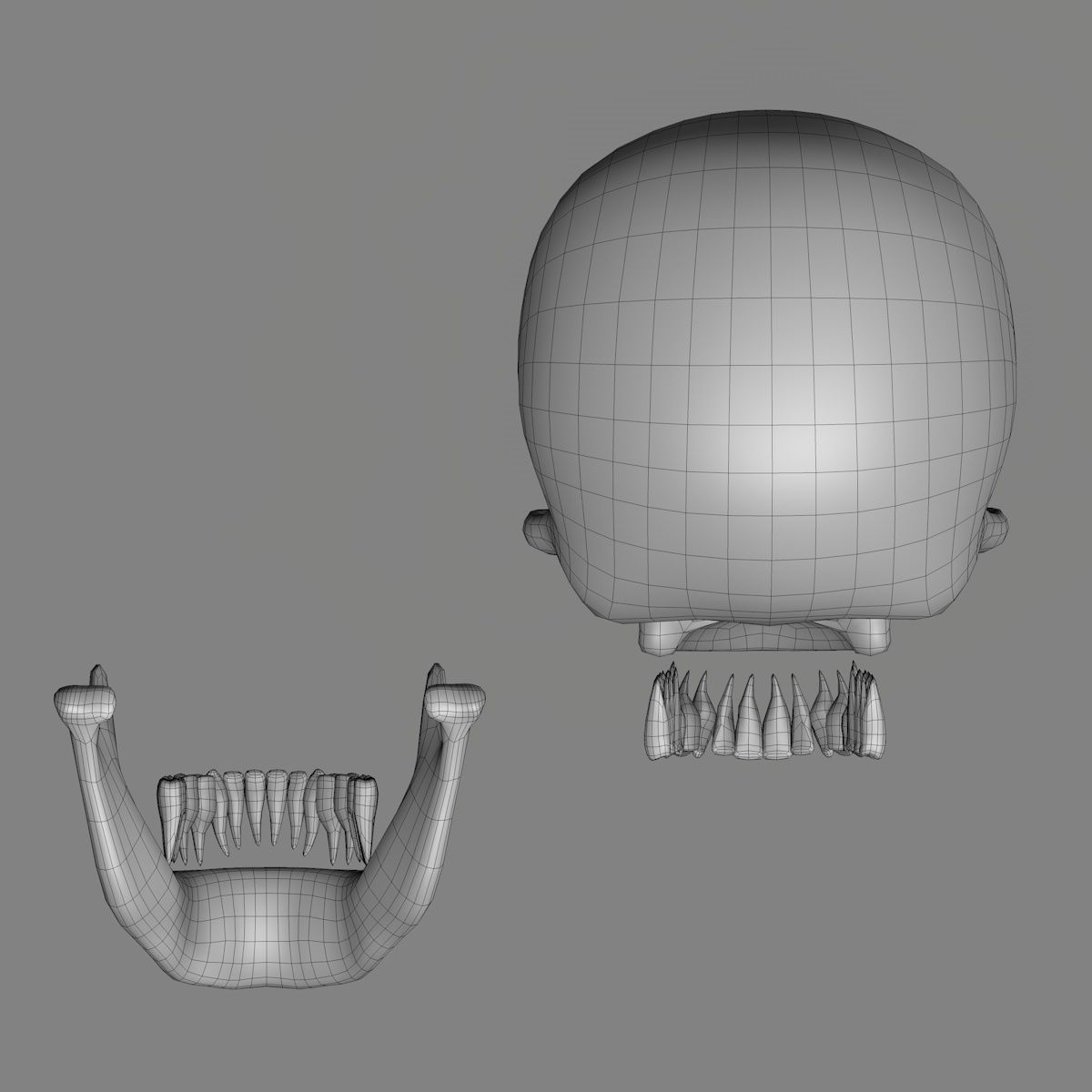 Skull 3d - Human Skull Low-poly 3D model_13