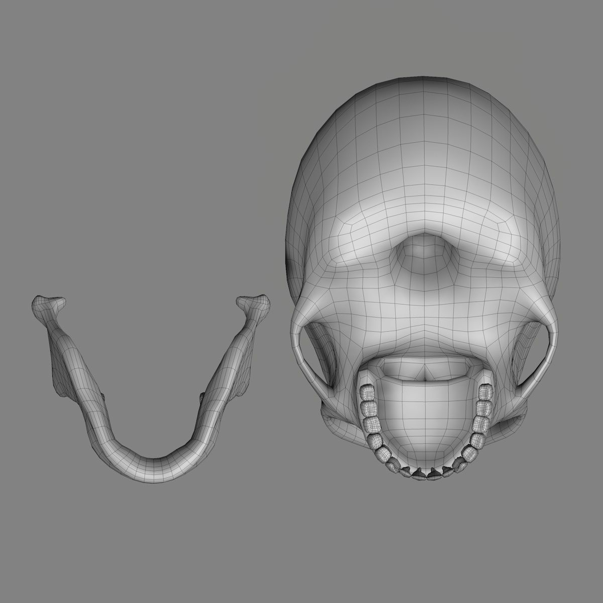 Skull 3d - Human Skull Low-poly 3D model_14