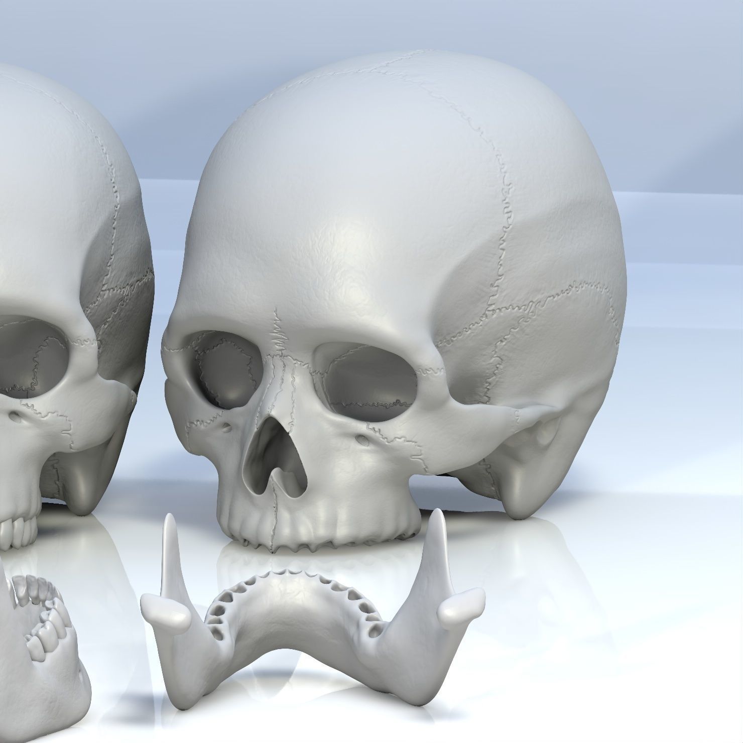 Skull 3d - Human Skull Low-poly 3D model_6