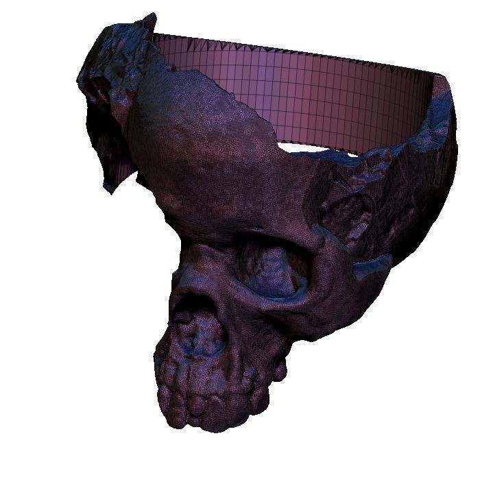 Damage Broken Salvage  Skull Ring 3D print model_5