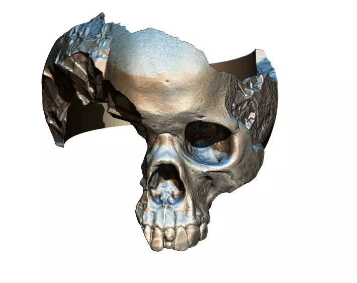 Damage Broken Salvage  Skull Ring 3D print model_0