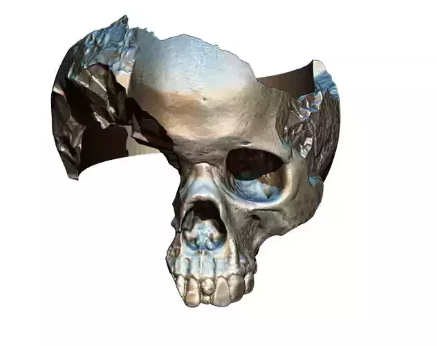 Damage Broken Salvage  Skull Ring 3D print model