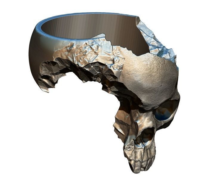 Damage Broken Salvage  Skull Ring 3D print model_2