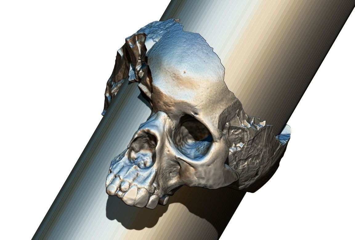 Damage Broken Salvage  Skull Ring 3D print model_1