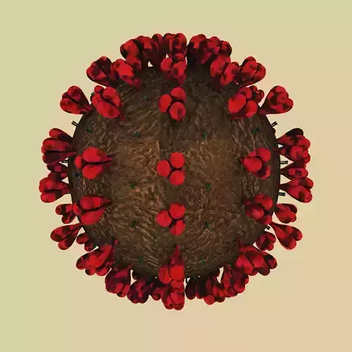 corona virus 3D model
