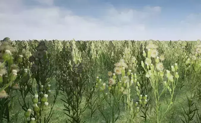 photorealistic grass