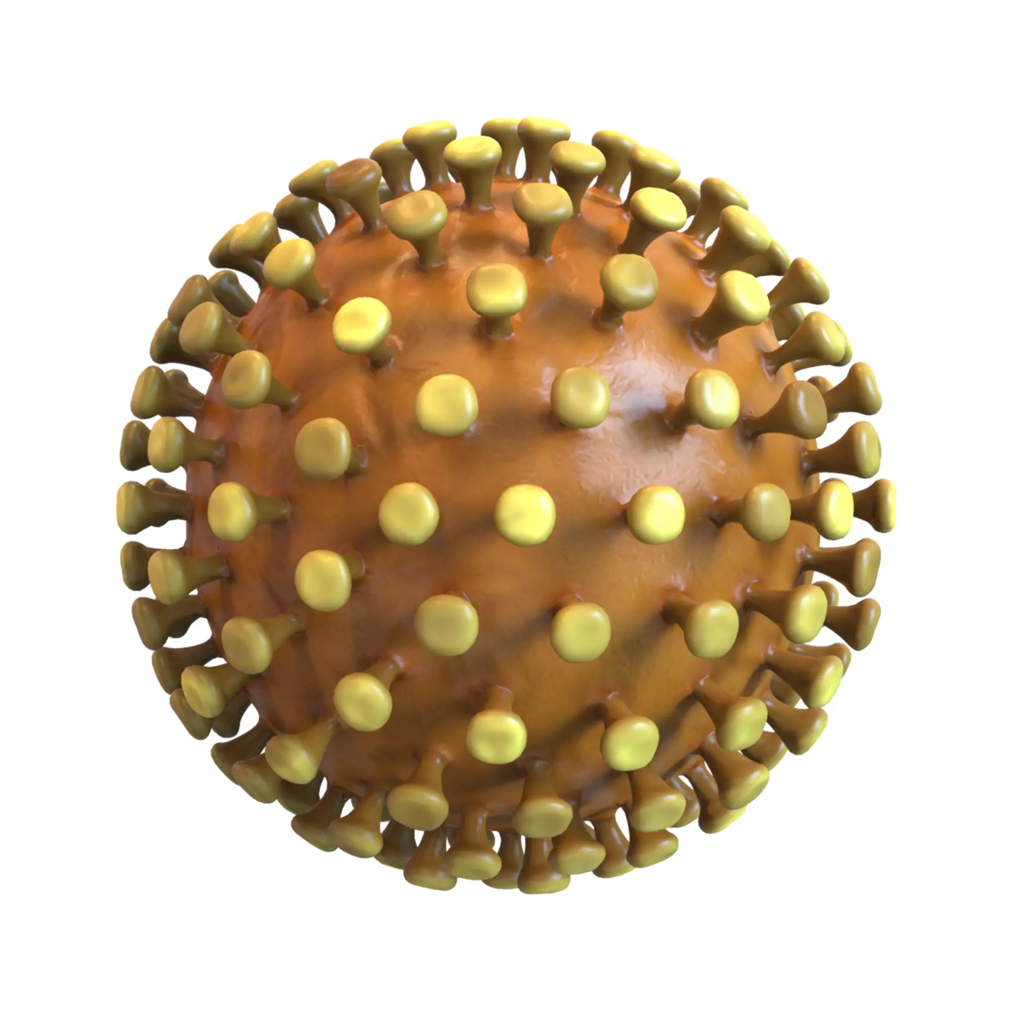 Coronavirus 3D model_0