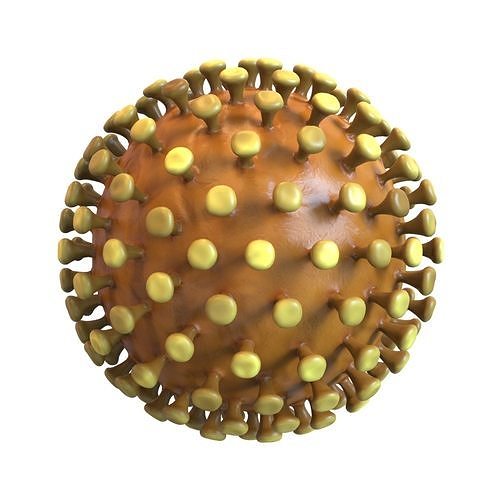 Coronavirus 3D model