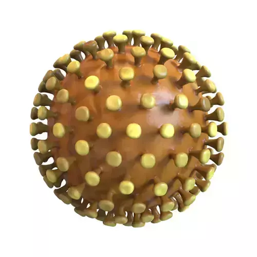 Coronavirus
