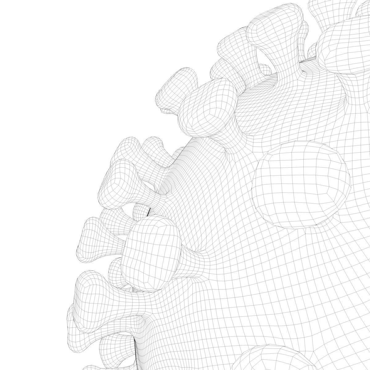 Coronavirus 3D model_7