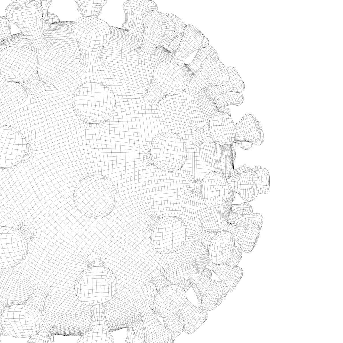 Coronavirus 3D model_9