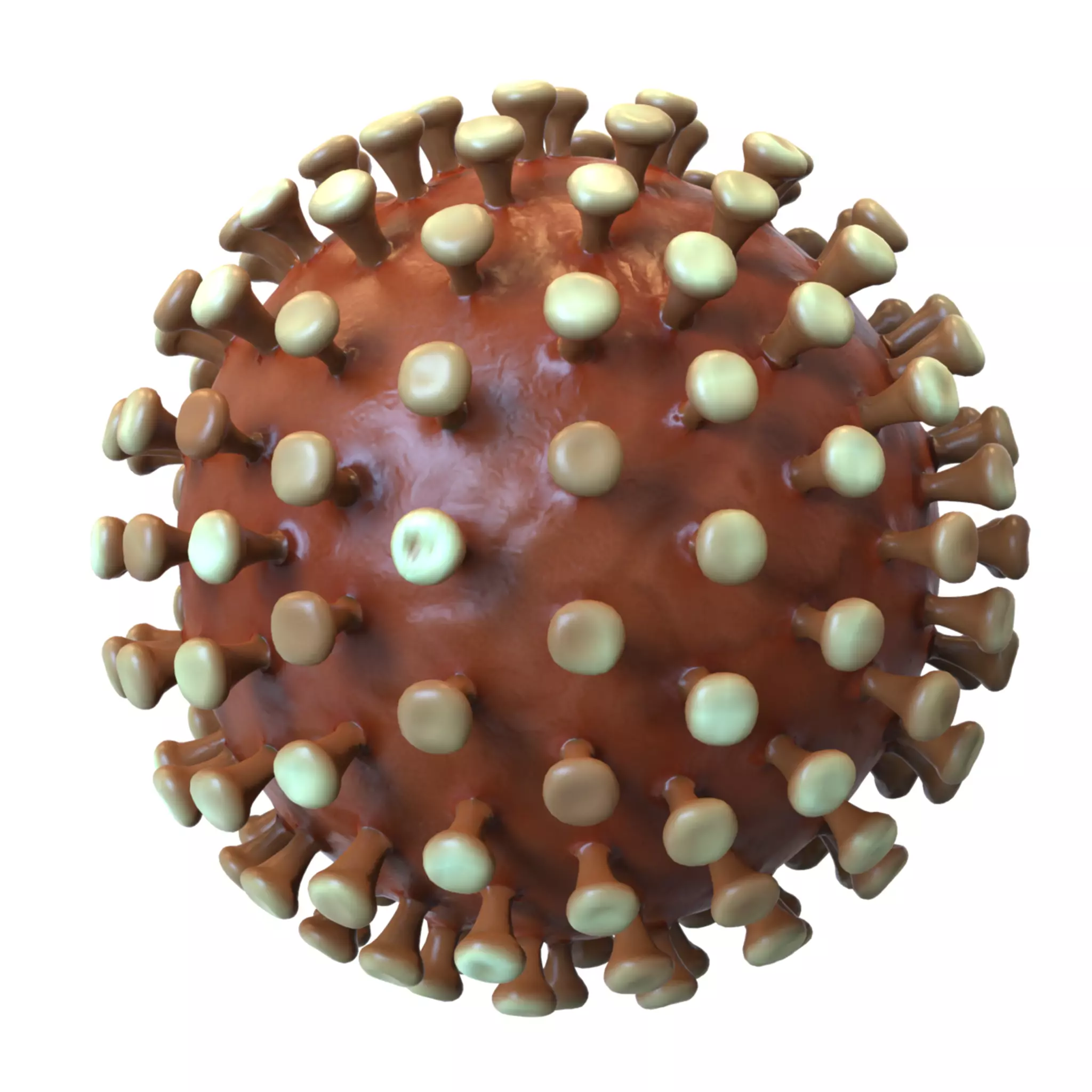 Coronavirus 3D model_0