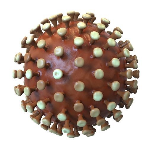 Coronavirus 3D model