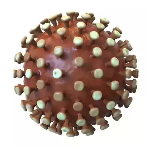 Coronavirus