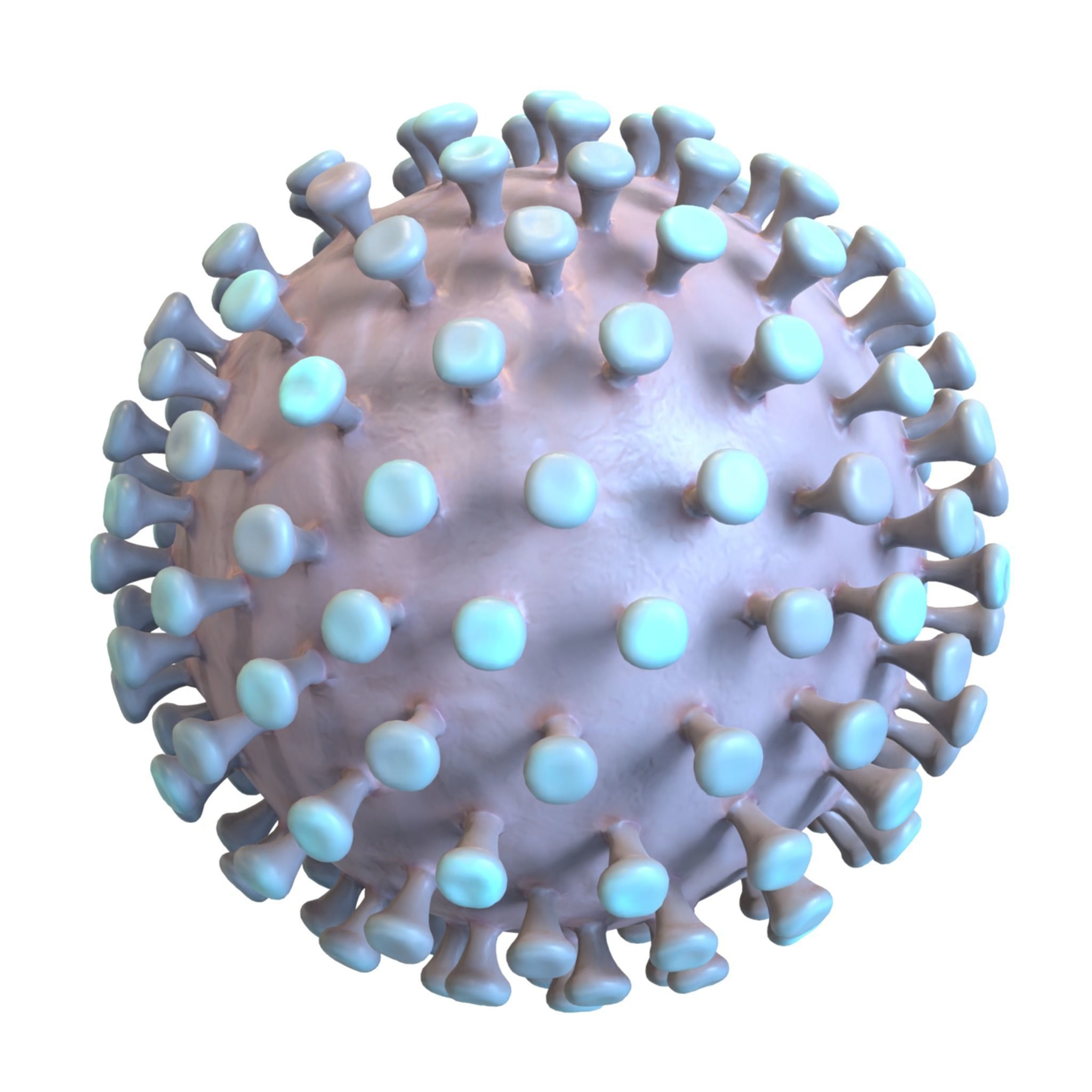 Coronavirus 3D model_2