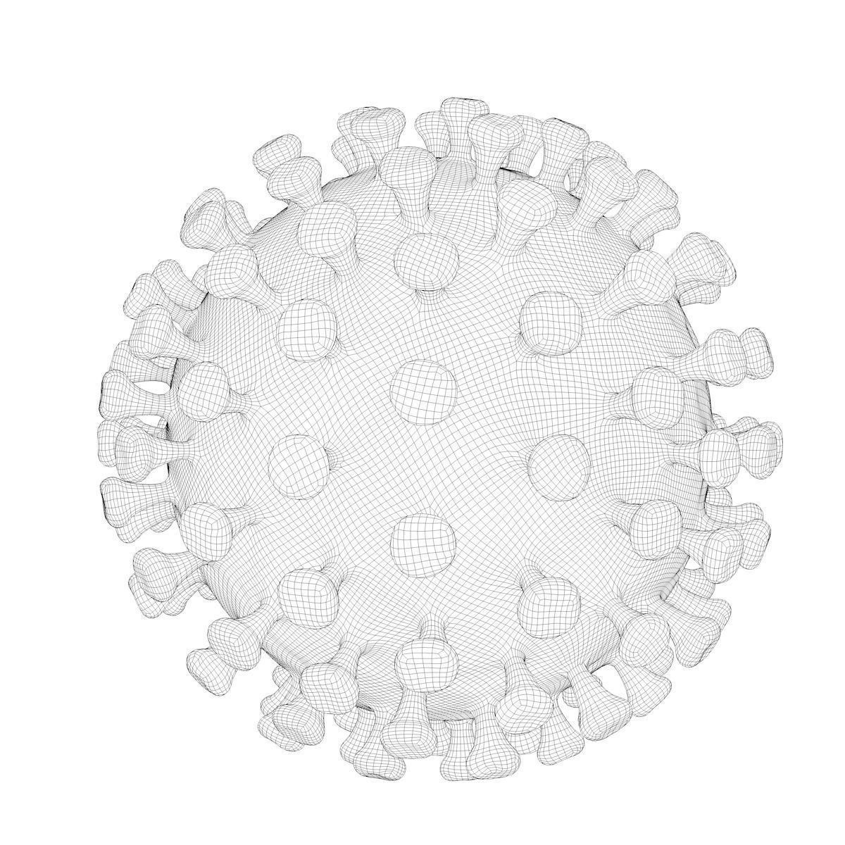 Coronavirus 3D model_8