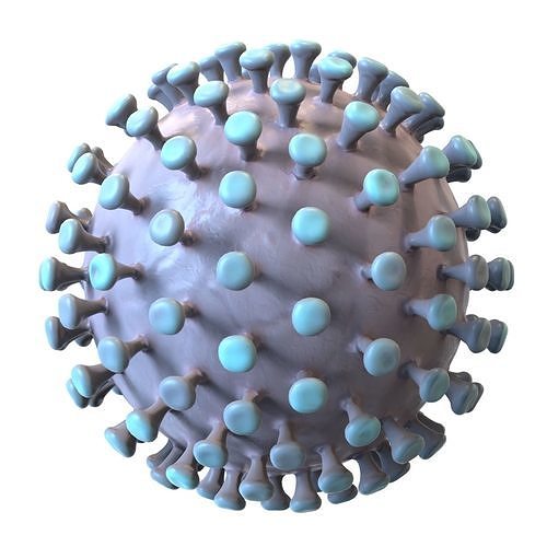 Coronavirus 3D model