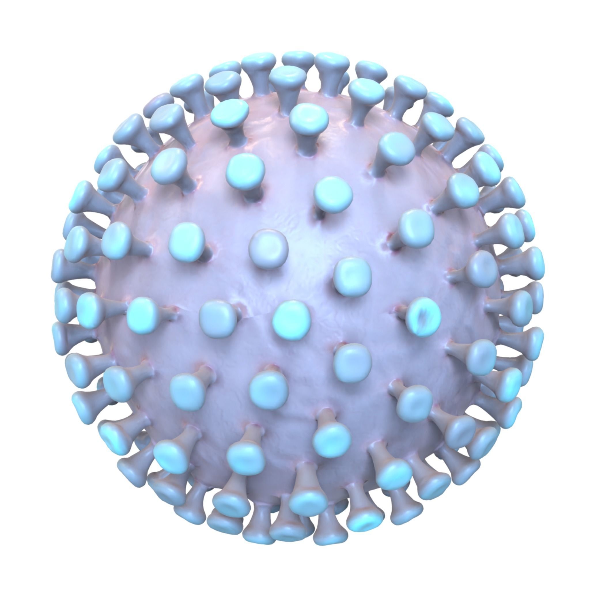 Coronavirus 3D model_3